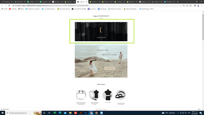 screen de prototipo.png