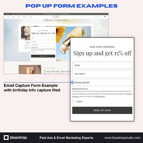 Blue Drop Studio Paid Ads & Email Marketing Experts  Email Pop Up 1.jpg